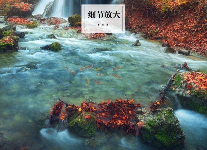 浓浓“年”味进社区 幸福邻里一家亲